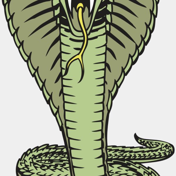 BAW SNAKE 15 RC Thumbnail