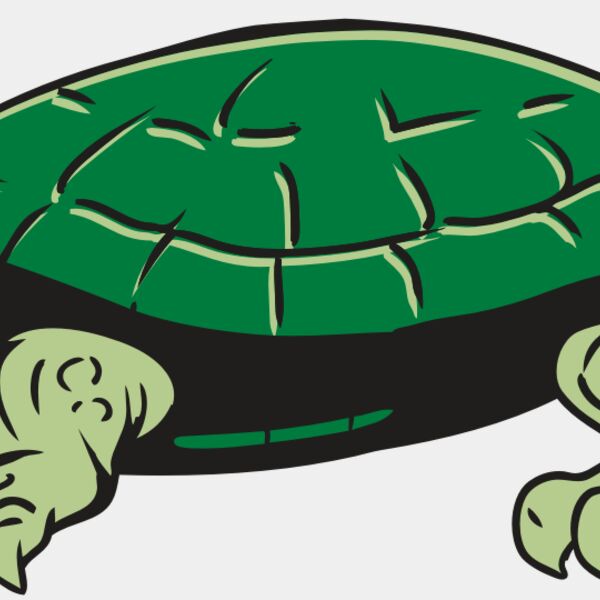 AR32 TURTLE 01 RQC Thumbnail