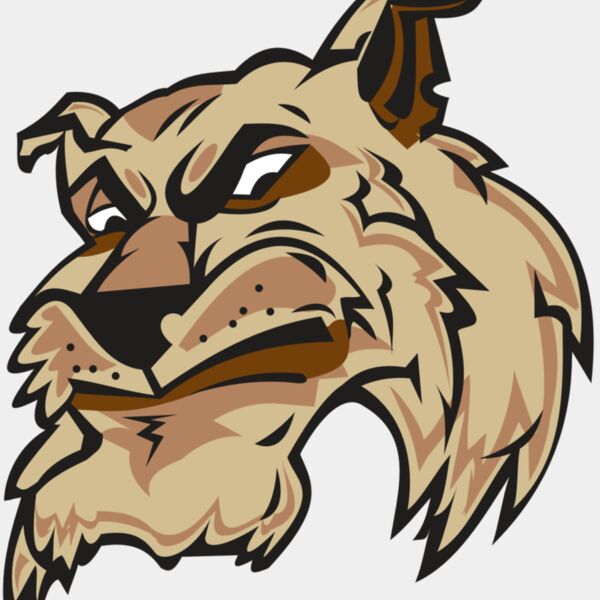 WILDCAT HD0501 RQC Thumbnail