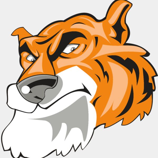 TIGER HD0501 RQC Thumbnail