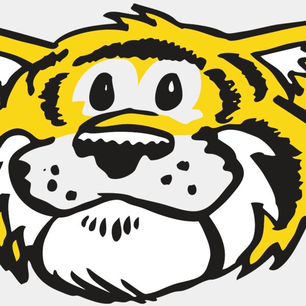 AR TIGER 90 RC Thumbnail