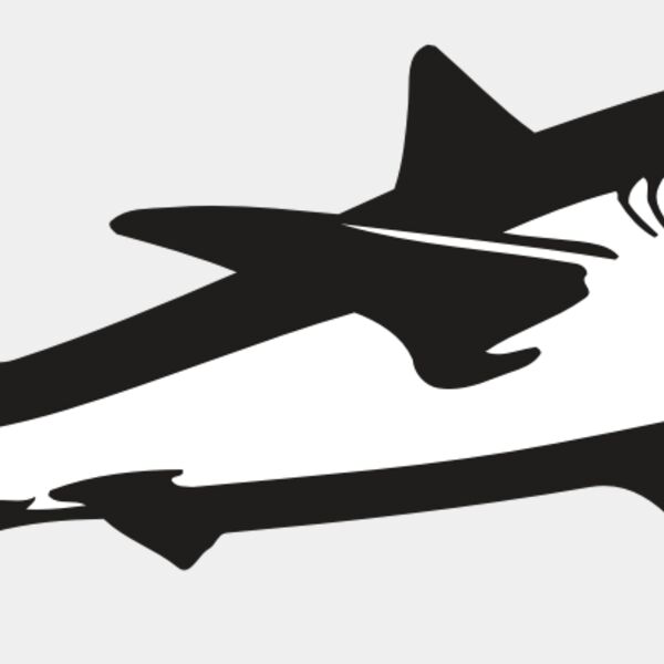 AR5 Shark 15 RQC Thumbnail