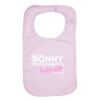 Organic Baby Bib Thumbnail
